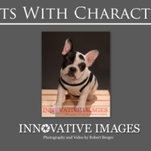 "Pets of Character" Pet Portraits Dog Portraits Puppy Portrait Photography. Each have their own personality and character just like people! These are signature portraits by award winning photographer Robert Berger.